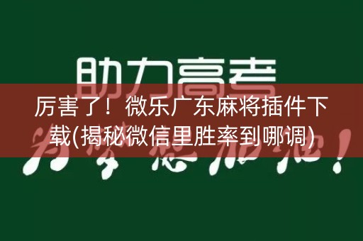 厉害了！微乐广东麻将插件下载(揭秘微信里胜率到哪调)