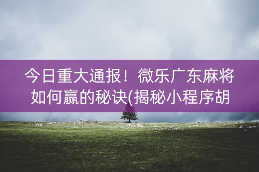 今日重大通报！微乐广东麻将如何赢的秘诀(揭秘小程序胡牌技巧)