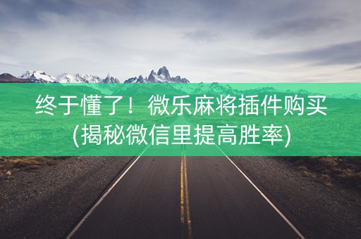 终于懂了！微乐麻将插件购买(揭秘微信里提高胜率)