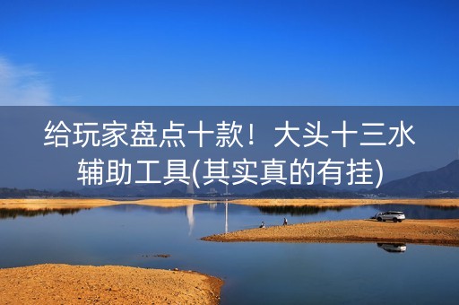 给玩家盘点十款！大头十三水辅助工具(其实真的有挂)