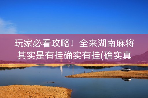 玩家必看攻略！全来湖南麻将其实是有挂确实有挂(确实真的有挂)