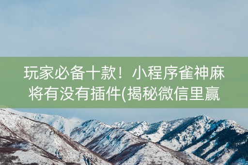 玩家必备十款！小程序雀神麻将有没有插件(揭秘微信里赢的诀窍)
