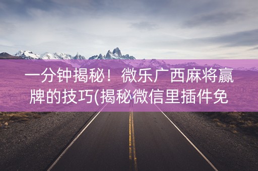一分钟揭秘！微乐广西麻将赢牌的技巧(揭秘微信里插件免费)
