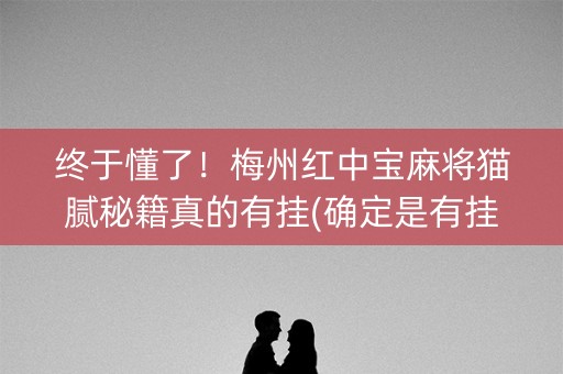 终于懂了！梅州红中宝麻将猫腻秘籍真的有挂(确定是有挂)