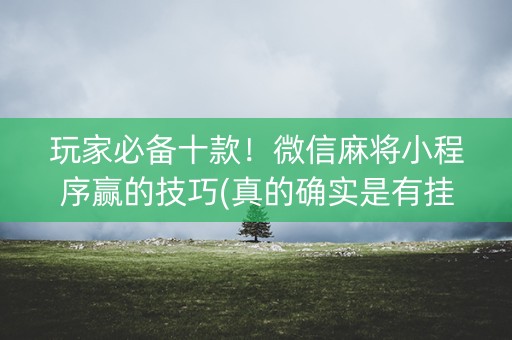 玩家必备十款！微信麻将小程序赢的技巧(真的确实是有挂)