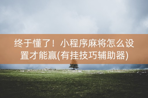 终于懂了！小程序麻将怎么设置才能赢(有挂技巧辅助器)