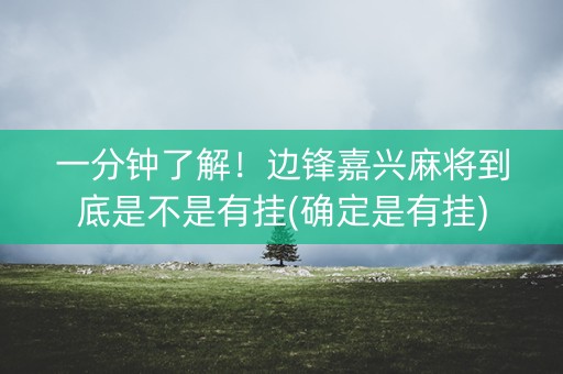 一分钟了解！边锋嘉兴麻将到底是不是有挂(确定是有挂)