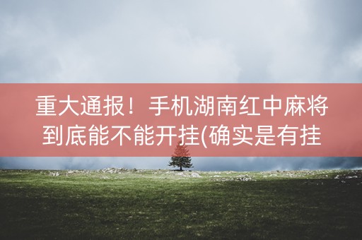 重大通报！手机湖南红中麻将到底能不能开挂(确实是有挂的)