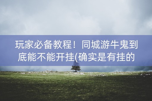 玩家必备教程！同城游牛鬼到底能不能开挂(确实是有挂的)