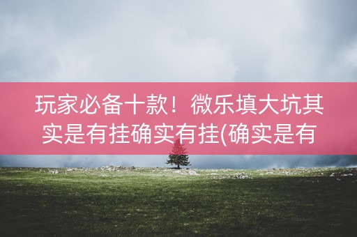 玩家必备十款！微乐填大坑其实是有挂确实有挂(确实是有挂)