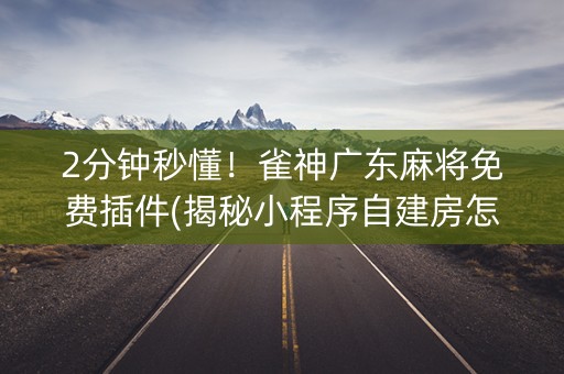 2分钟秒懂！雀神广东麻将免费插件(揭秘小程序自建房怎么赢)