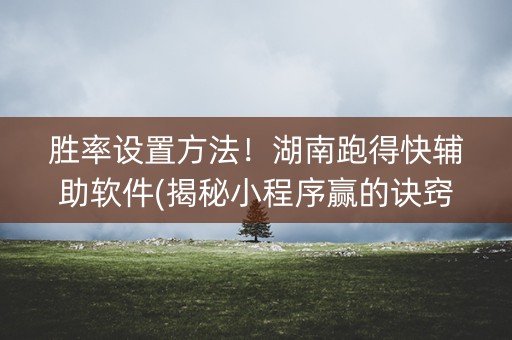 胜率设置方法！湖南跑得快辅助软件(揭秘小程序赢的诀窍)