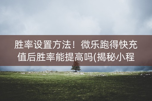 胜率设置方法！微乐跑得快充值后胜率能提高吗(揭秘小程序赢的秘诀)