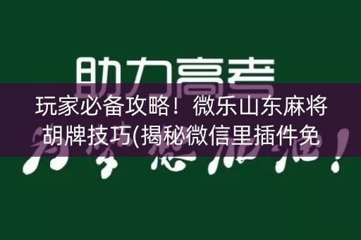 玩家必备攻略！微乐山东麻将胡牌技巧(揭秘微信里插件免费)