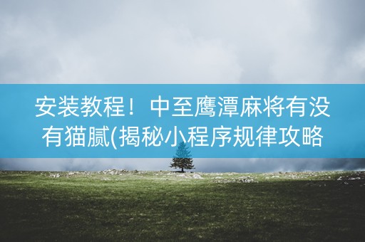 安装教程！中至鹰潭麻将有没有猫腻(揭秘小程序规律攻略)