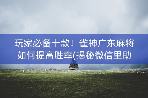 玩家必备十款！雀神广东麻将如何提高胜率(揭秘微信里助攻神器)