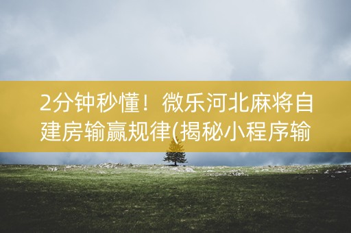 2分钟秒懂！微乐河北麻将自建房输赢规律(揭秘小程序输赢规律)