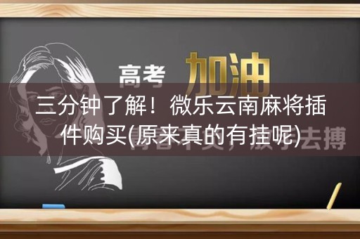 三分钟了解！微乐云南麻将插件购买(原来真的有挂呢)