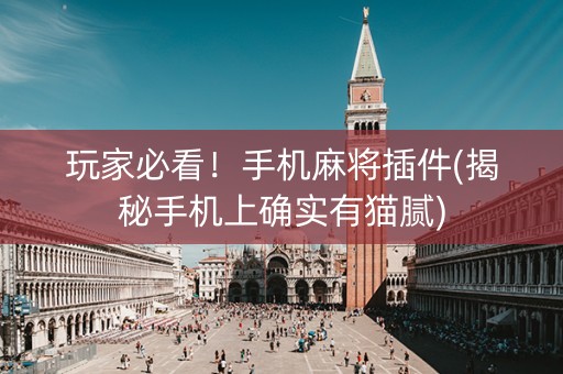 玩家必看！手机麻将插件(揭秘手机上确实有猫腻)