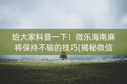 给大家科普一下！微乐海南麻将保持不输的技巧(揭秘微信里赢牌的技巧)