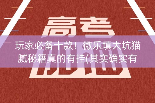 玩家必备十款！微乐填大坑猫腻秘籍真的有挂(其实确实有挂)