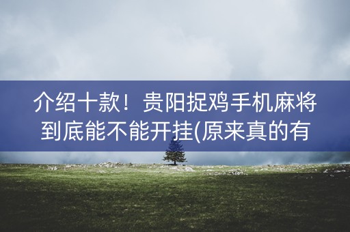 介绍十款！贵阳捉鸡手机麻将到底能不能开挂(原来真的有挂)