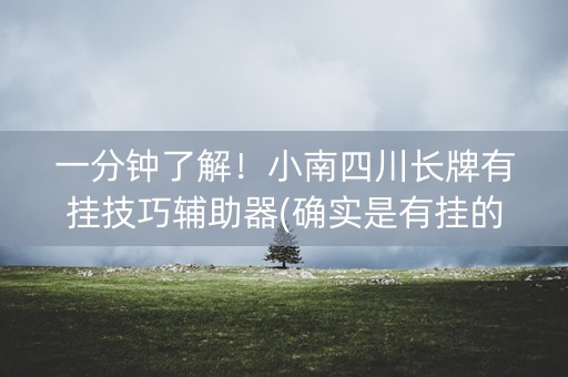 一分钟了解！小南四川长牌有挂技巧辅助器(确实是有挂的)