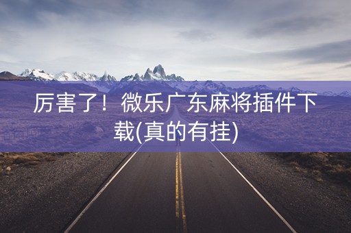 厉害了！微乐广东麻将插件下载(真的有挂)