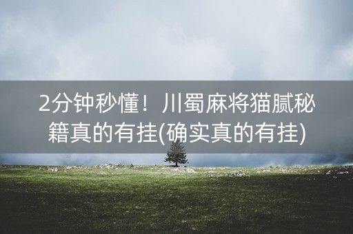 2分钟秒懂！川蜀麻将猫腻秘籍真的有挂(确实真的有挂)