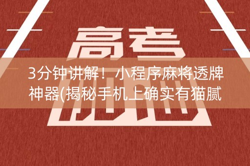 3分钟讲解！小程序麻将透牌神器(揭秘手机上确实有猫腻)