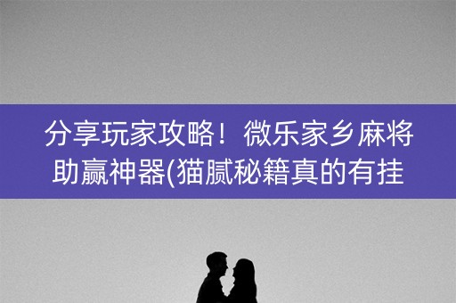 分享玩家攻略！微乐家乡麻将助赢神器(猫腻秘籍真的有挂)