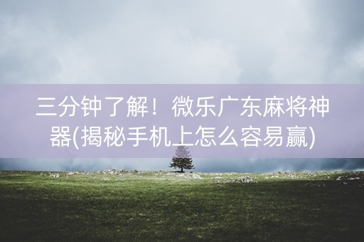 三分钟了解！微乐广东麻将神器(揭秘手机上怎么容易赢)