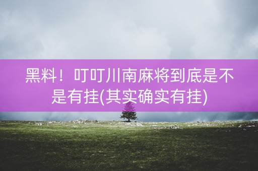 黑料！叮叮川南麻将到底是不是有挂(其实确实有挂)