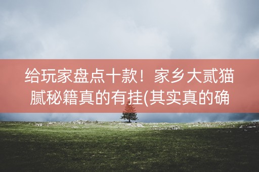 给玩家盘点十款！家乡大贰猫腻秘籍真的有挂(其实真的确实有挂)