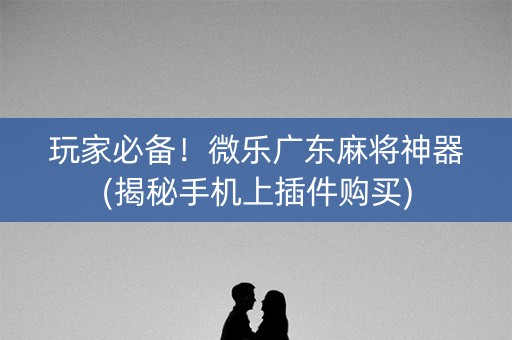 玩家必备！微乐广东麻将神器(揭秘手机上插件购买)