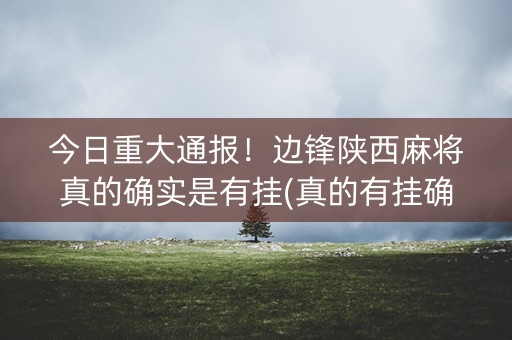 今日重大通报！边锋陕西麻将真的确实是有挂(真的有挂确实有挂)