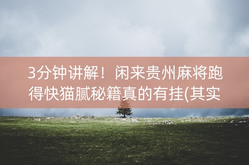 3分钟讲解！闲来贵州麻将跑得快猫腻秘籍真的有挂(其实真的确实有挂)