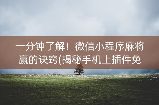 一分钟了解！微信小程序麻将赢的诀窍(揭秘手机上插件免费)