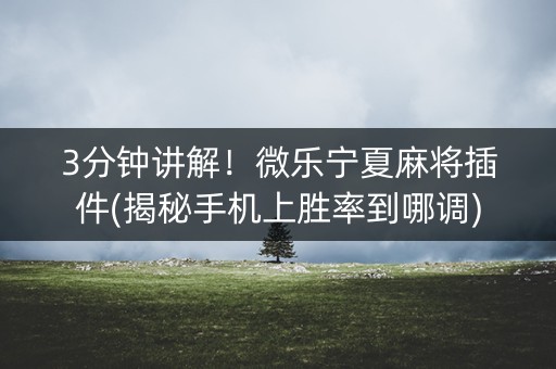 3分钟讲解！微乐宁夏麻将插件(揭秘手机上胜率到哪调)