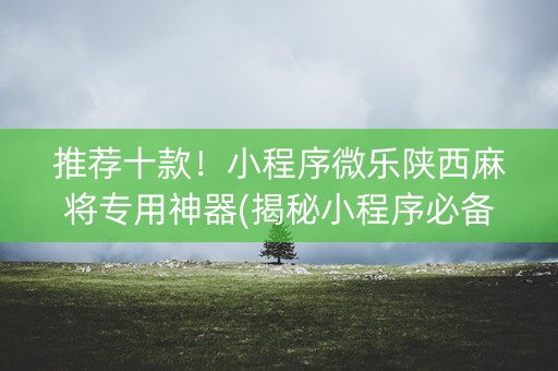 推荐十款！小程序微乐陕西麻将专用神器(揭秘小程序必备神器)