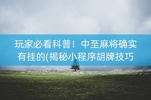 玩家必看科普！中至麻将确实有挂的(揭秘小程序胡牌技巧)