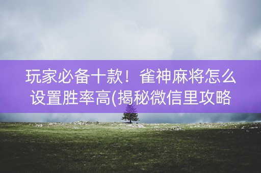 玩家必备十款！雀神麻将怎么设置胜率高(揭秘微信里攻略插件)