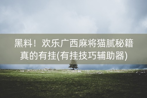 黑料！欢乐广西麻将猫腻秘籍真的有挂(有挂技巧辅助器)