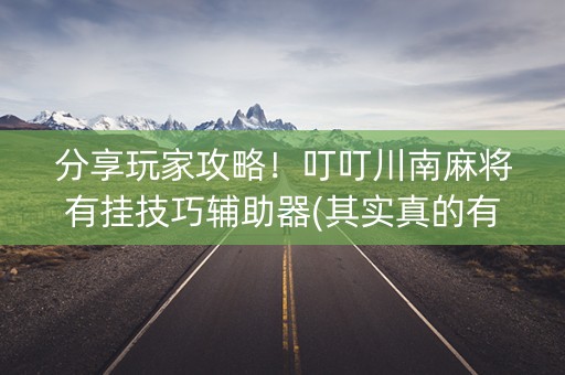 分享玩家攻略！叮叮川南麻将有挂技巧辅助器(其实真的有挂)