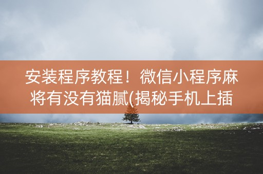 安装程序教程！微信小程序麻将有没有猫腻(揭秘手机上插件购买)