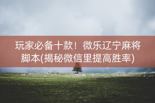 玩家必备十款！微乐辽宁麻将脚本(揭秘微信里提高胜率)