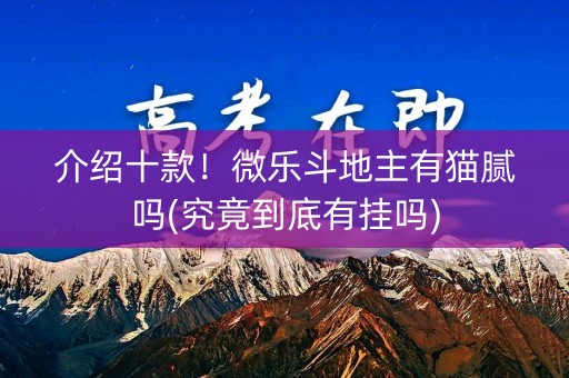 介绍十款！微乐斗地主有猫腻吗(究竟到底有挂吗)