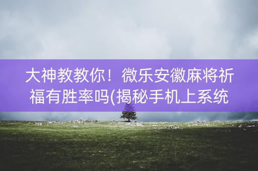 大神教教你！微乐安徽麻将祈福有胜率吗(揭秘手机上系统发好牌)