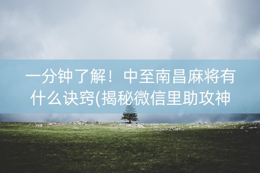 一分钟了解！中至南昌麻将有什么诀窍(揭秘微信里助攻神器)