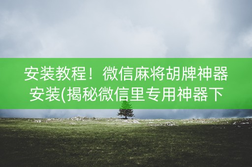 安装教程！微信麻将胡牌神器安装(揭秘微信里专用神器下载)